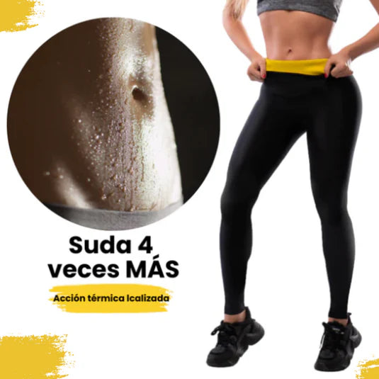Encabezado