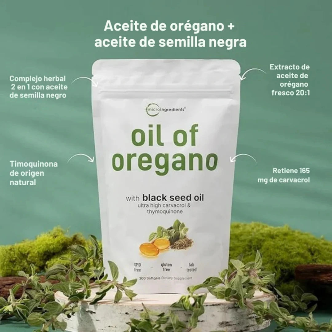 Encabezado
