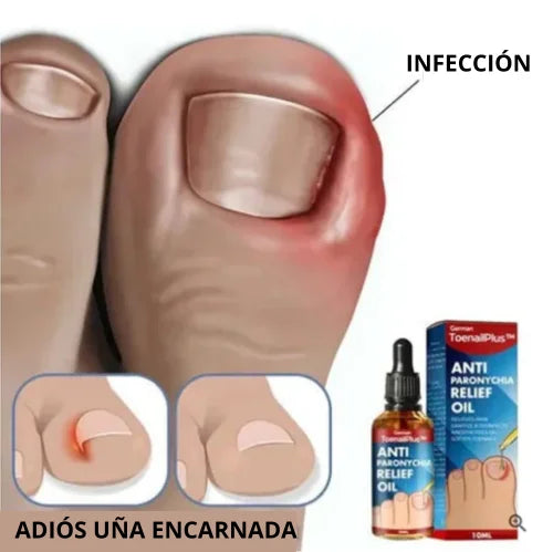 Encabezado
