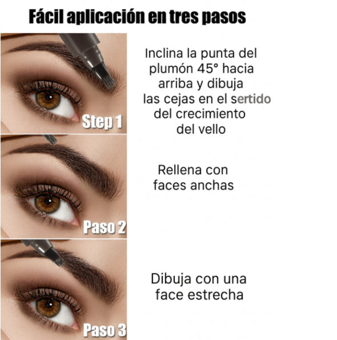Encabezado
