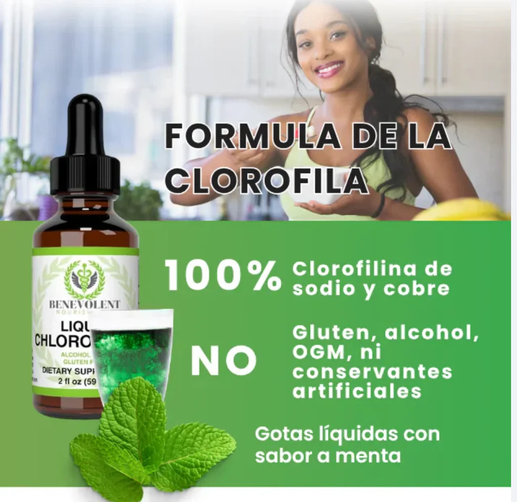 Encabezado