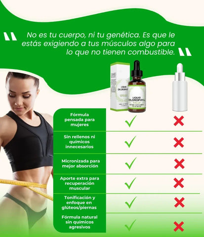 Producto