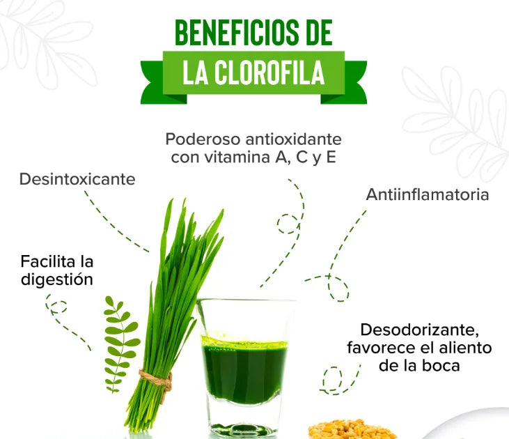 Clorofila Líquida Benevolent – ¡Energía natural y frescura que se siente! 💧✨