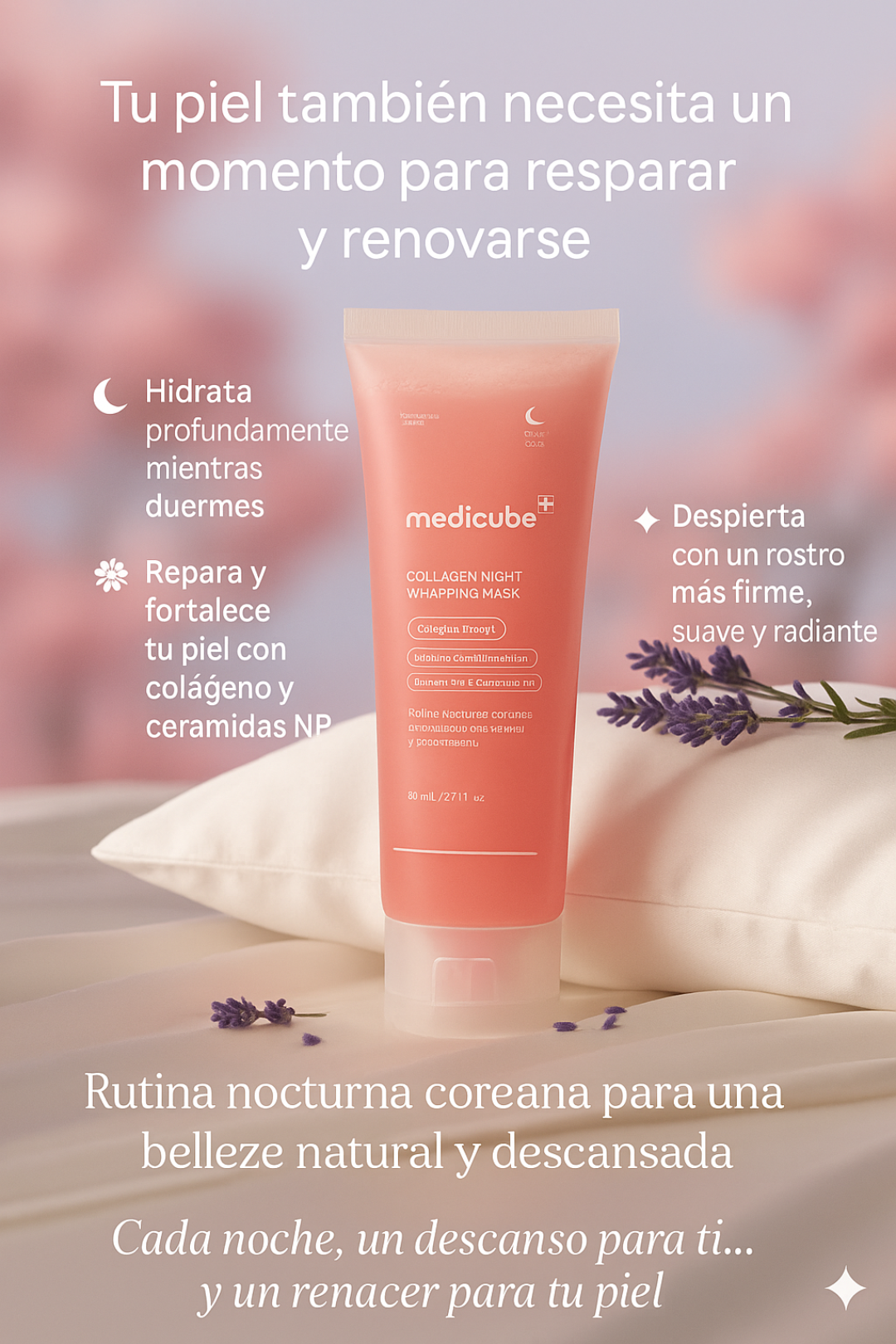 Encabezado