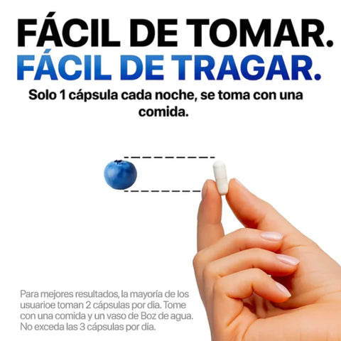 Producto
