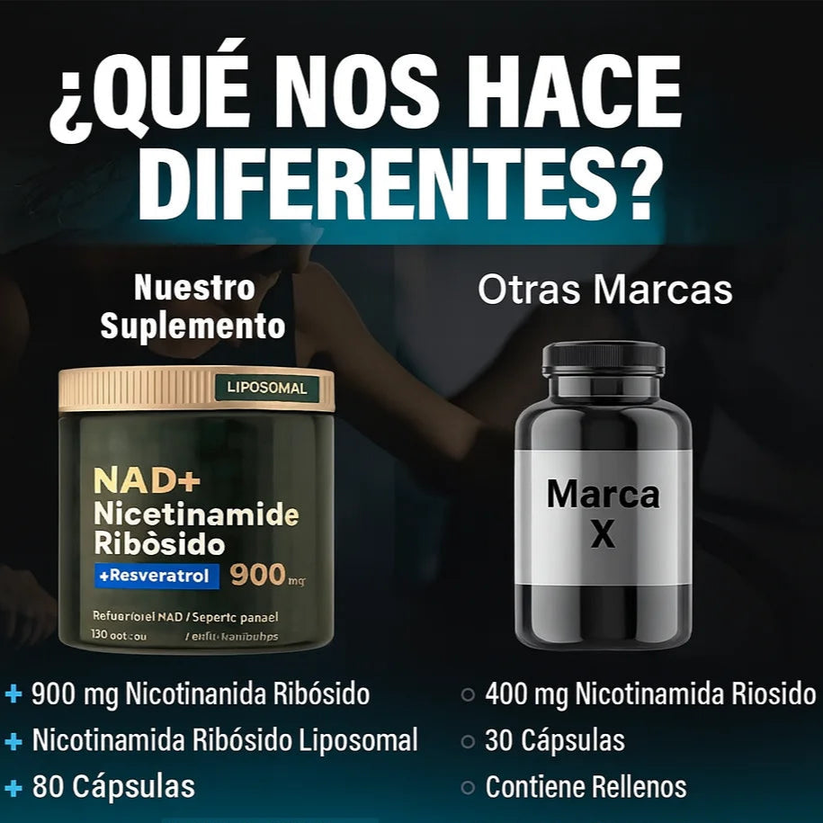 Encabezado