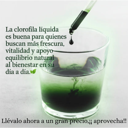 Clorofila Líquida Benevolent – ¡Energía natural y frescura que se siente! 💧✨