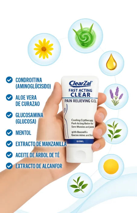 Encabezado