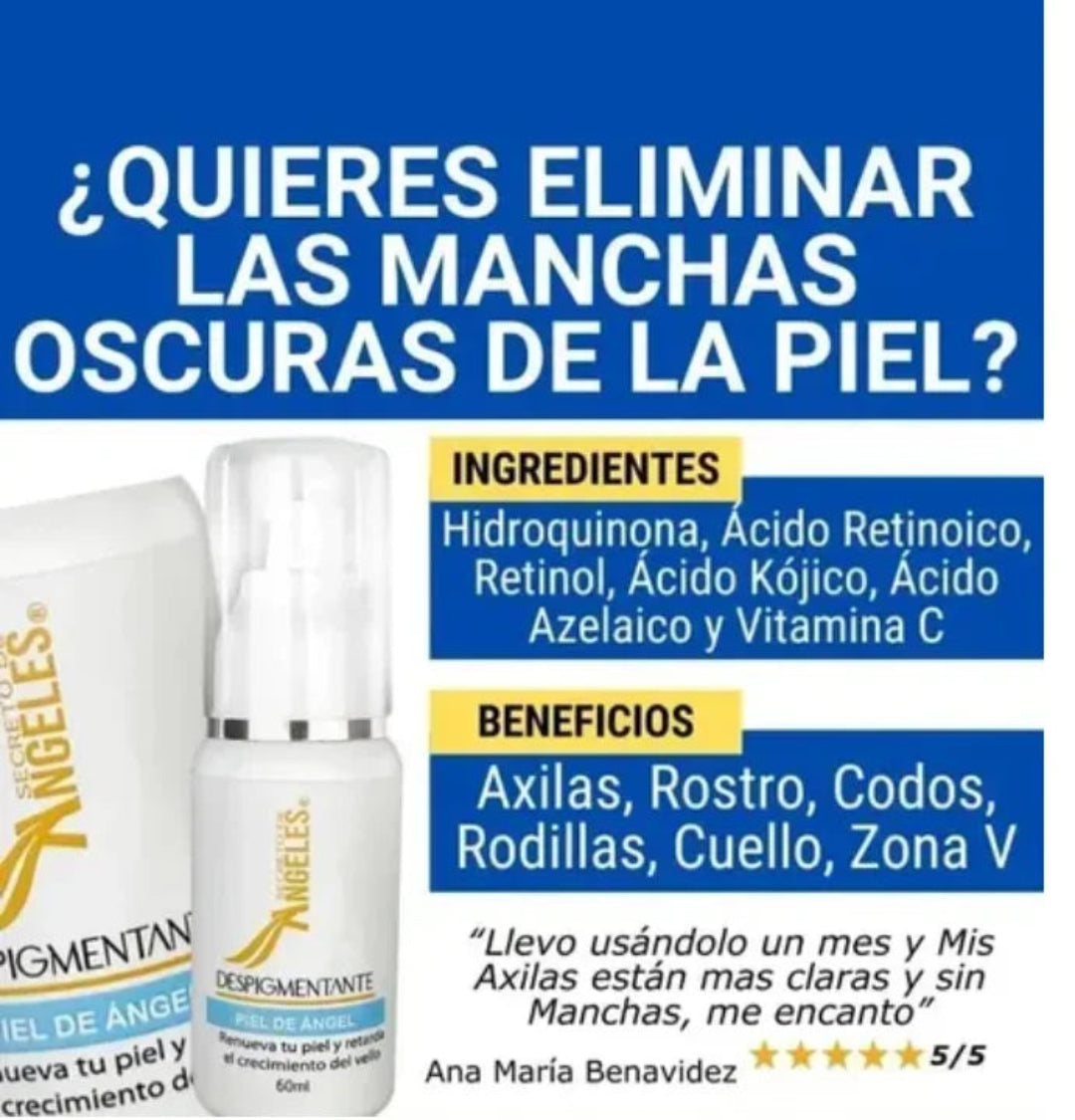 Encabezado