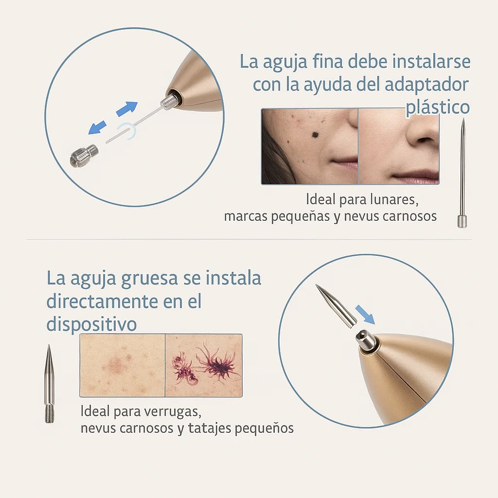 Encabezado